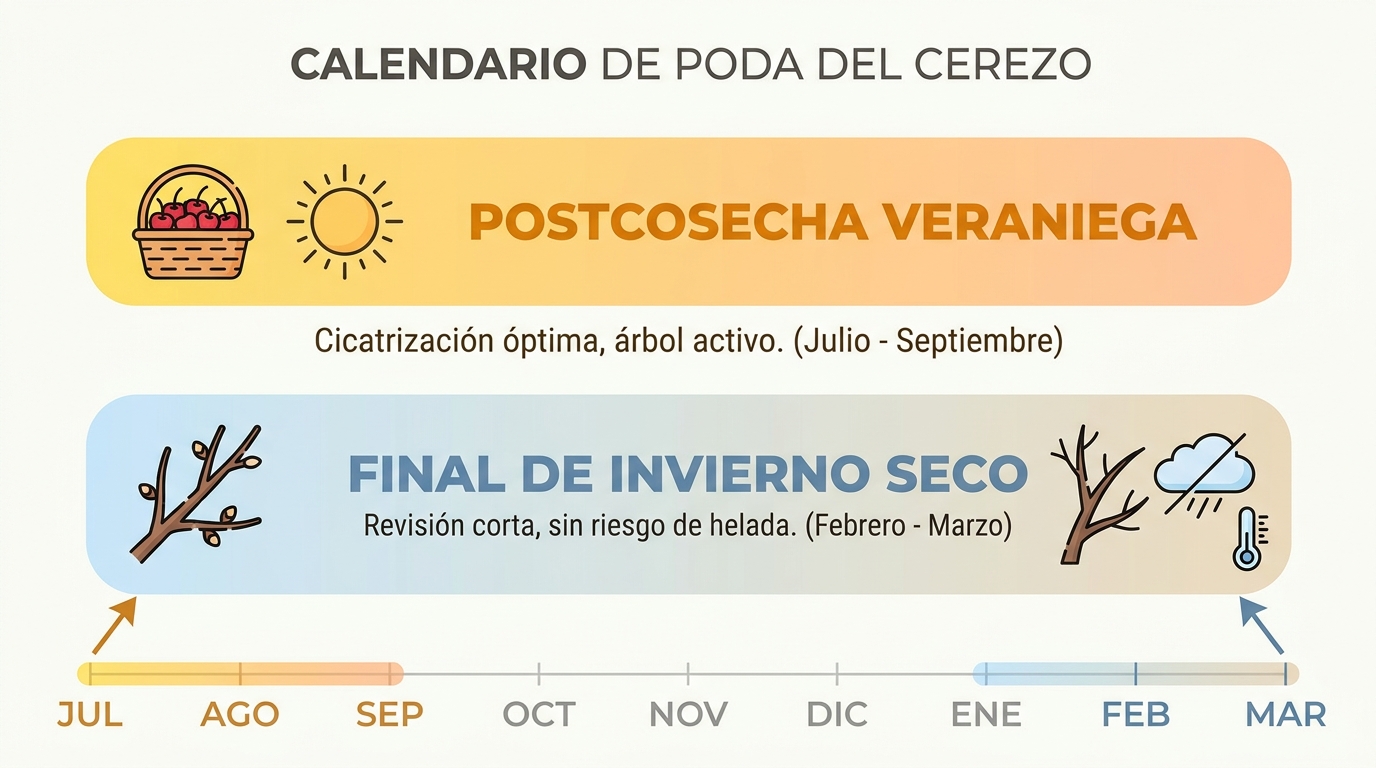 calendario visual con dos franjas destacadas: postcosecha veraniega y final de invierno seco
